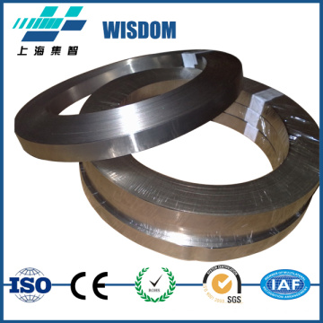 Nickel Based Alloy Ni80cr20 Strip for Braking Resistor